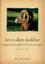 Sei in allem dankbar