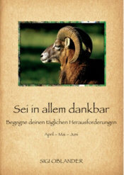 Sei in allem dankbar