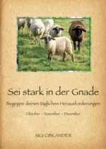Sei stark in der Gnade