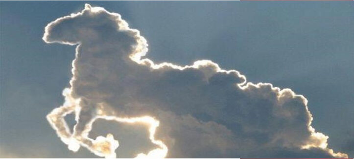 Header-Vorlage-Horse-Cloud.jpg