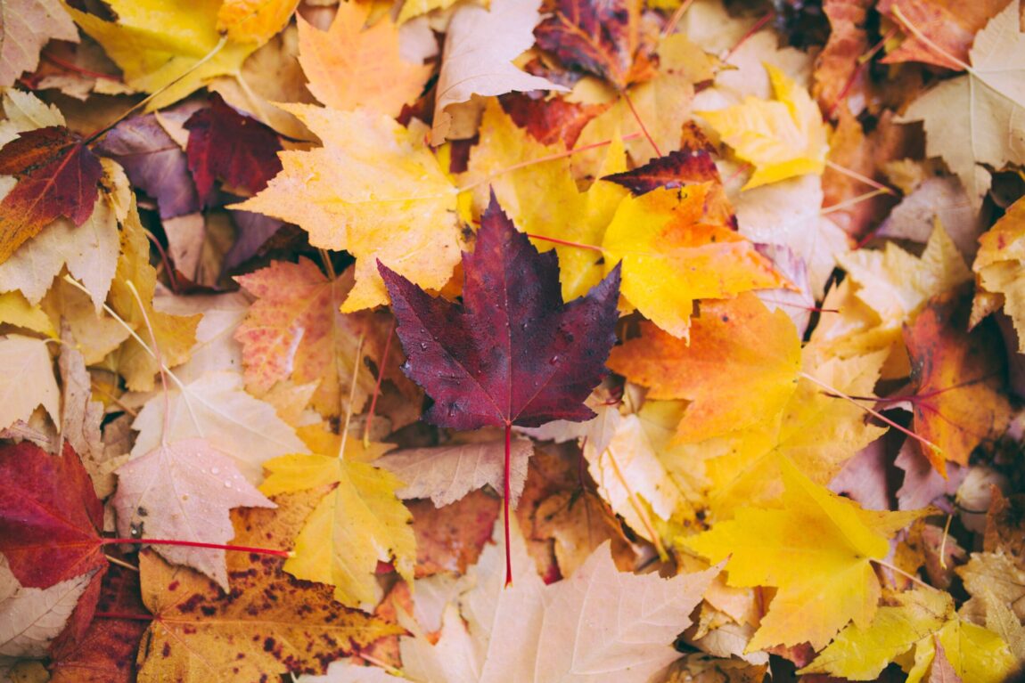 greg-shield-527553-unsplash-scaled.jpg